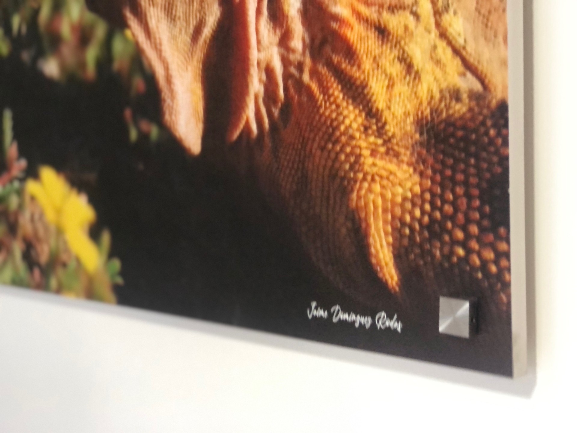 Detalles Artísticos