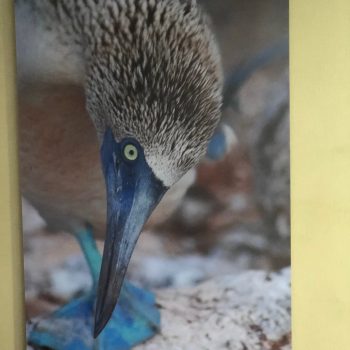 00E85FA5-8B8C-4AB5-A9B2-4878CC90A6F6