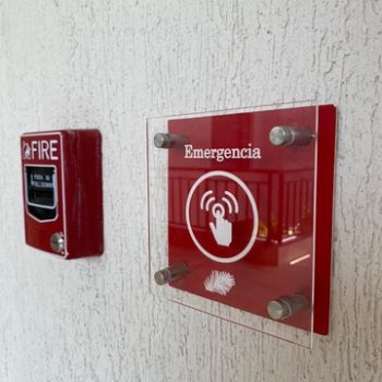 050A96F3-F34B-4AF0-8F1C-A364C56FDDD1_4_5005_c