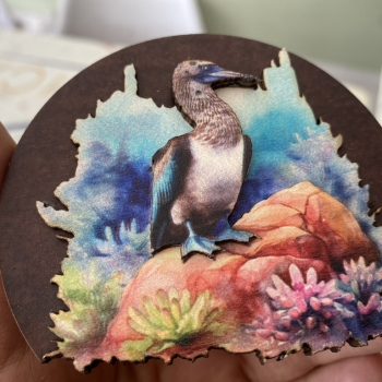 12CE5789-C7C2-40E4-89AB-C482B5E4EDF7_1_105_c