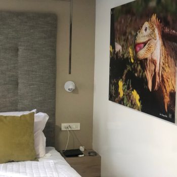 30B7325D-A784-4568-B33C-2BBC5F30BDEB