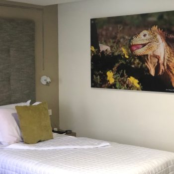 71DEC525-5C2E-4277-95B3-8B619691B9B1