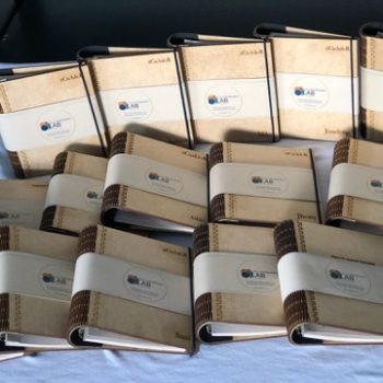 805634C3-391F-4787-ABD0-A8E36547C975_4_5005_c