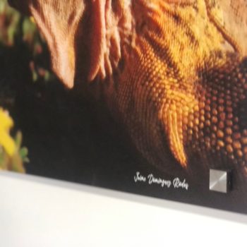 928F00E3-9A71-4BBC-B0B4-C20DAB7767A2