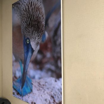 B05C439A-B6F7-4318-9F47-8CFC204D6B0B