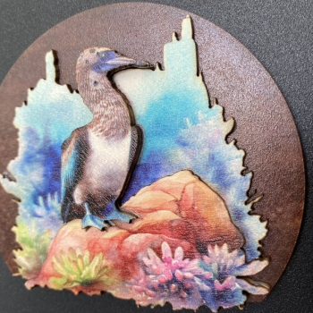 BD7920A3-D177-4879-8B3A-61D94D8CEF88_1_105_c