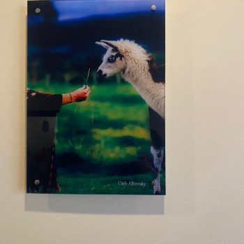 FF42E4D0-D3FC-493E-ABB1-17D64E438C86