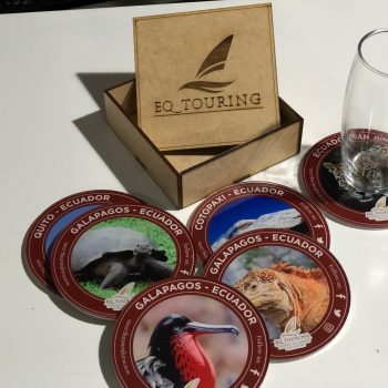 FFA56D15-167C-4907-A788-B918D1D471E6